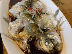 -几荷·恰似故人来(秀水广场店)