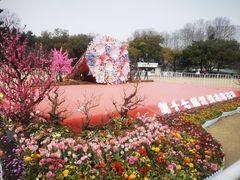 -红梅公园