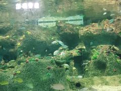 -沙沙哗啦海洋馆(华宇百花谷店)