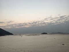 -北岐滩涂
