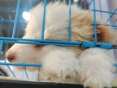 -长春农业博览园