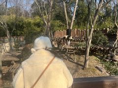 -扬州市茱萸湾风景区