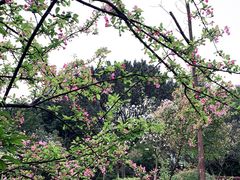 -重庆平顶山公园