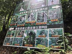 -西双版纳原始森林公园