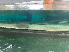 -新加坡水上探险乐园