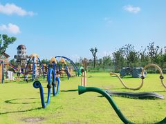 -上海长兴岛郊野公园