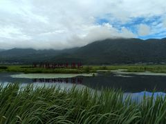 -腾冲北海湿地