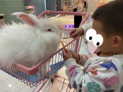-Moni星球萌宠·小马宝莉·灵蛇·高端高阶全萌宠互动体验俱乐部(红豆国际广场店)
