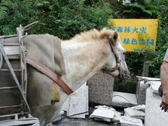 -白云山风景名胜区