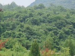 -云丘山景区