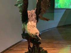 -陕西自然博物馆