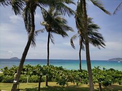 -三亚亚龙湾天域度假酒店