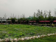 -洪湖家庭农场·团建·露营·会议