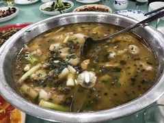 -东吴霸王兔(松青路店)
