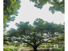 -晓港公园