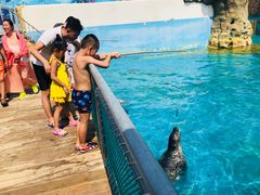 -秦皇岛乐岛海洋王国