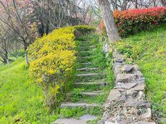 -南京市江宁方山