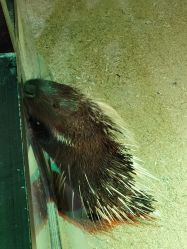 -酷嗒动物文化乐园(cutezoo西溪乐天城店)