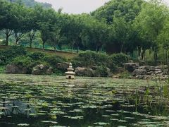 -幕燕滨江·长江观音景区