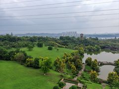 -张坝桂圆林公园