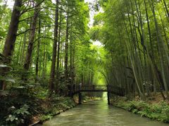 -同里国家湿地公园