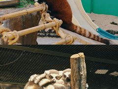 -海合安武汉极地海洋公园