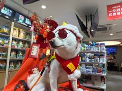 -宠物家(双井店)