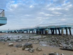 -海沧湾公园