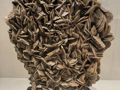 -安徽省地质博物馆