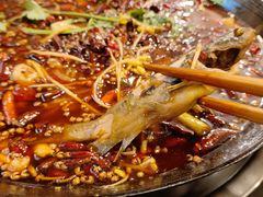 -鸿顺老铁锅美蛙鱼府(解放碑店)
