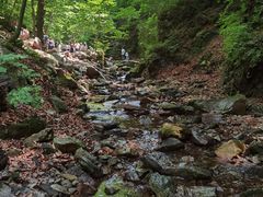 -本溪汤沟绿石谷森林公园