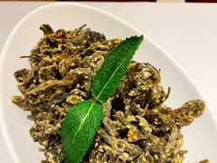 -解家河南菜(商鼎路店)