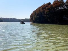 -上海海湾国家森林公园