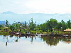 -西昌邛海湿地