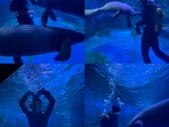 -烟台海昌鲸鲨海洋公园