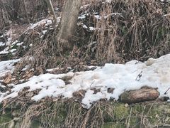 -秦岭终南山世界地质公园翠华山景区