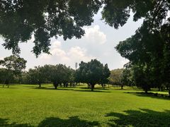 -东莞植物园