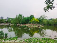 -南翠屏公园