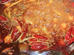 -杨肥肠火锅大排档(火车站花园店)
