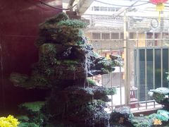 20140126218-佛有缘素食馆·荔湾老字号(陈家祠首店)