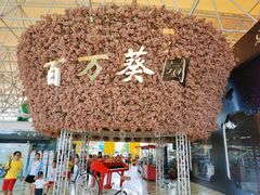 -百万葵园