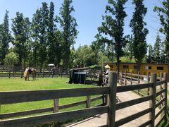 -前小桔亲子创意农场·草莓采摘·露营烧烤