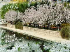 -海棠花溪(元大都城垣遗址公园)
