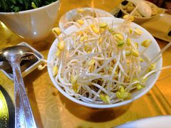豆芽-文昌小老弟糟粕醋