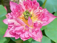 -广州莲花山旅游区