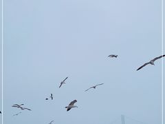 -星海广场