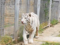 -贵州森林野生动物园