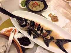 鸭嘴鱼-千岛湖品鱼馆(钓鱼岛店)