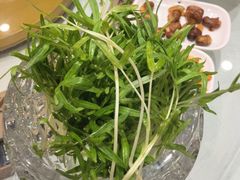 -草原传奇鲜羊火锅(桥北店)
