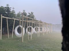 -迪茵湖田家舍生态农场